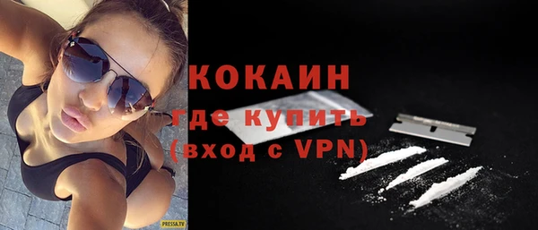 прущий лед Бородино