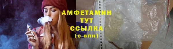 прущий лед Бородино