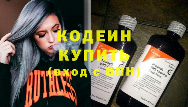 прущий лед Бородино
