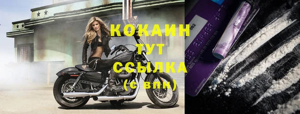 гидра Бугульма