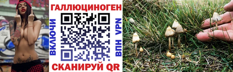 Галлюциногенные грибы мицелий  Купить закладки  Семилуки 